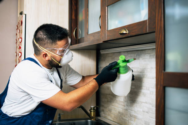 Best Pest Removal Services  in Hayward, CA