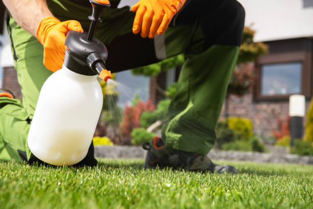 Best Commercial Pest Control Services  in Hayward, CA