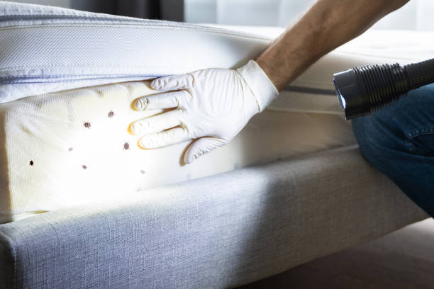 Hayward, CA Pest Control Company