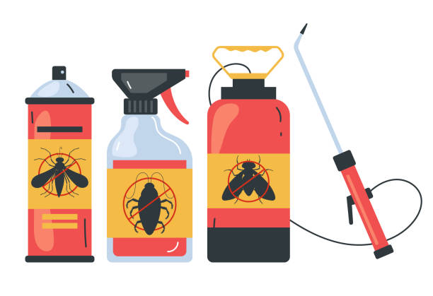 Best Exterminator Services  in Hayward, CA